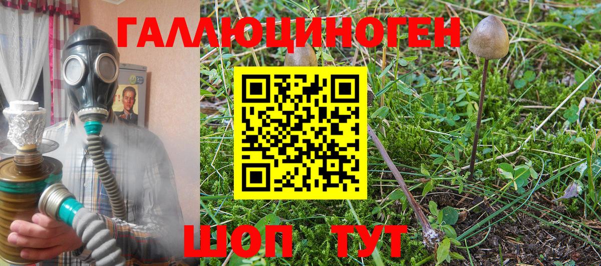 Галлюциногенные грибы мицелий  Вход с VPN  Псилоцибиновые грибы мухоморы  Михайловка 